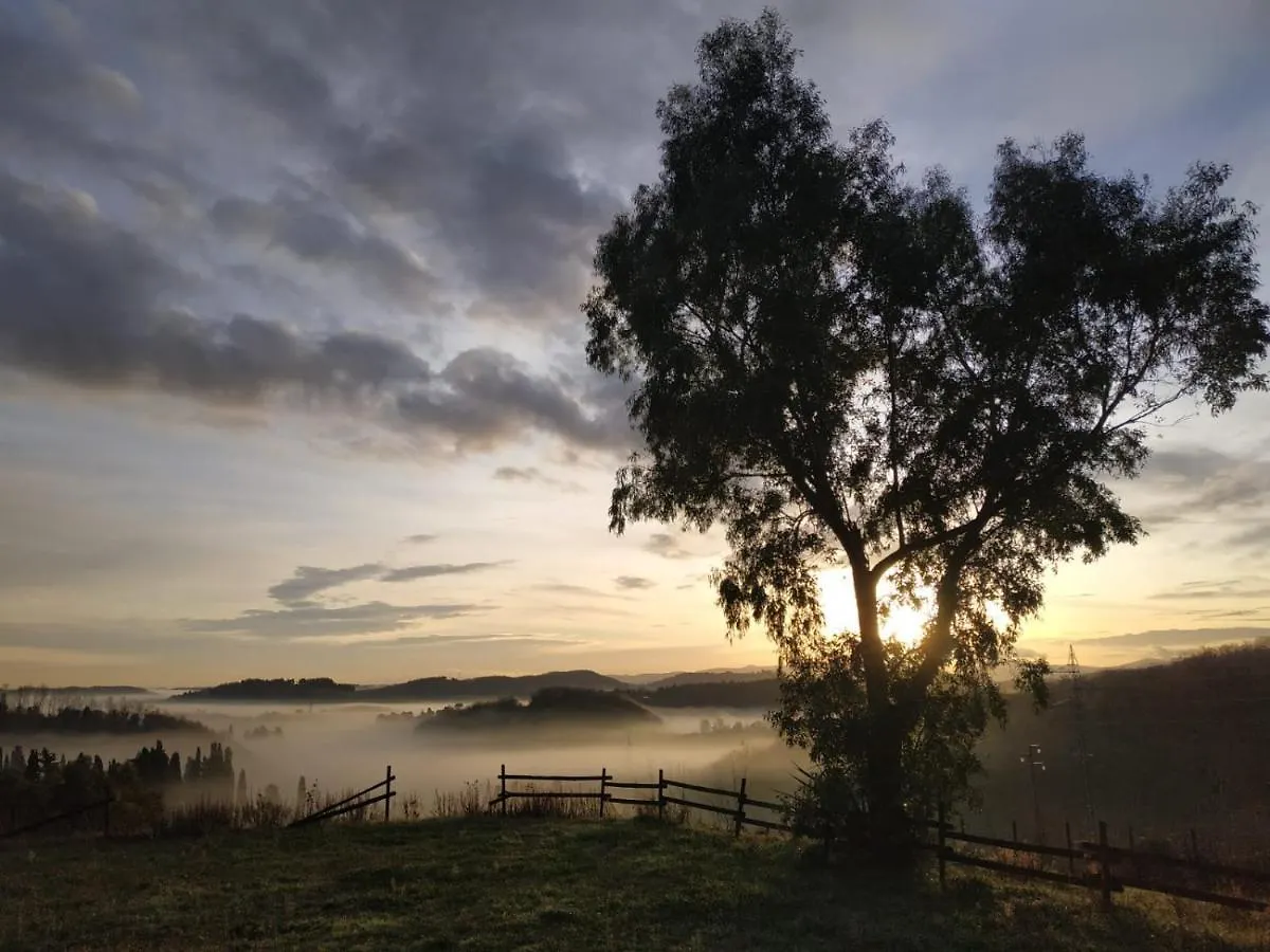 Bed & Breakfast B & B Cuore Toscano Collesalvetti